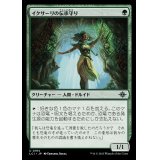 (FOIL)イクサーリの伝承守り/Ixalli's Lorekeeper《日本語》【LCI】