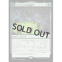 [EX+](FOIL)イトリモクの成長儀式/Growing Rites of Itlimoc《日本語》【LCI】