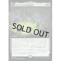 [EX+](FOIL)(フルアート)イトリモクの成長儀式/Growing Rites of Itlimoc《日本語》【LCI】