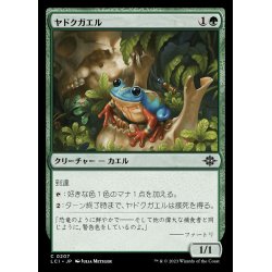 画像1: ヤドクガエル/Poison Dart Frog《日本語》【LCI】