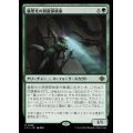 [EX+](FOIL)翡翠光の洞窟探検家/Jadelight Spelunker《日本語》【LCI】