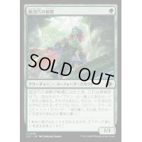 (FOIL)陥没穴の偵察/Cenote Scout《日本語》【LCI】