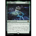 髑髏胞子の結節点/The Skullspore Nexus《日本語》【LCI】