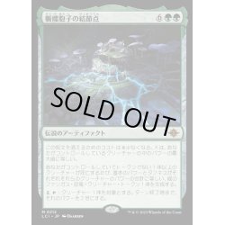 画像1: [EX+](FOIL)髑髏胞子の結節点/The Skullspore Nexus《日本語》【LCI】