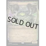 [EX+](FOIL)(ショーケース枠)帝王マイコイド/The Mycotyrant《日本語》【LCI】
