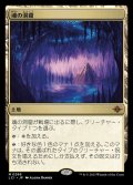 [EX+](FOIL)魂の洞窟/Cavern of Souls《日本語》【LCI】