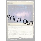 [EX+]魂の洞窟/Cavern of Souls《日本語》【LCI】