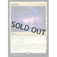 (FOIL)魂の洞窟/Cavern of Souls《日本語》【LCI】