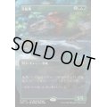 [EX](FOIL)(フルアート)万猛竜/Polyraptor《日本語》【SPG】