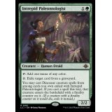 (FOIL)剛胆な古生物学者/Intrepid Paleontologist《英語》【LCI】