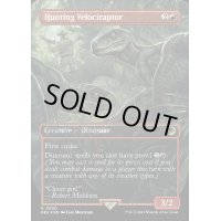 [EX+](紋章FOIL)(フルアート)狩りをするヴェロキラプトル/Hunting Velociraptor《英語》【REX】