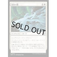 霊体の鋼/Spectral Steel《日本語》【WOC】