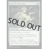 入念な栽培/Careful Cultivation《英語》【WOC】