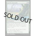 [EX](FOIL)豆の木をのぼれ/Up the Beanstalk《英語》【WOE】
