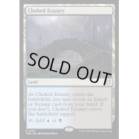[EX+]詰まった河口/Choked Estuary《英語》【WOC】