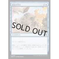 [EX+](FOIL)速足の学び/Quick Study《日本語》【WOE】