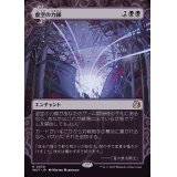 (FOIL)(ショーケース枠)虚空の力線/Leyline of the Void《日本語》【WOT】