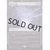 [EX+](FOIL)(ショーケース枠)虚空の力線/Leyline of the Void《日本語》【WOT】