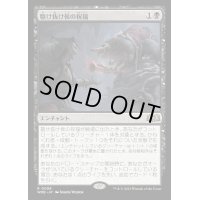 [EX+](FOIL)駆け抜け侯の祝福/Lord Skitter's Blessing《日本語》【WOE】