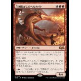 王国焦がしのヘルカイト/Realm-Scorcher Hellkite《日本語》【WOE】