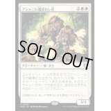 アジャニに選ばれし者/Ajani's Chosen《日本語》【WOC】