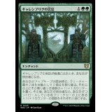 ギャレンブリグの宮廷/Court of Garenbrig《日本語》【WOC】