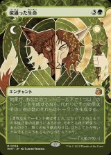 (ショーケース枠)似通った生命/Parallel Lives《日本語》【WOT】