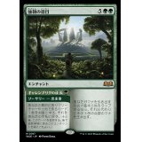 [EX+](FOIL)強靭の徳目/Virtue of Strength《日本語》【WOE】