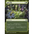 (FOIL)(ショーケース枠)成長の季節/Season of Growth《日本語》【WOT】