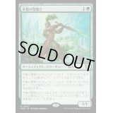 木製の聖騎士/Timber Paladin《日本語》【WOC】