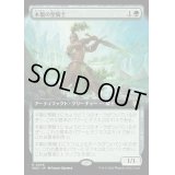 [EX+](フルアート)木製の聖騎士/Timber Paladin《日本語》【WOC】