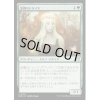楽園のドルイド/Paradise Druid《日本語》【WOC】