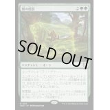 熊の陰影/Bear Umbra《日本語》【WOC】