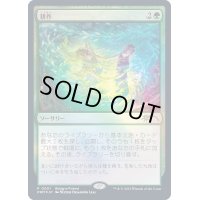 [EX+](FOIL)(0001)耕作/Cultivate《日本語》【PRM】