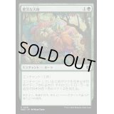 肥沃な大地/Fertile Ground《日本語》【WOC】