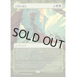 [EX+](FOIL)(ショーケース枠)自然の意志/Nature's Will《日本語》【WOT】