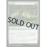 蛇の陰影/Snake Umbra《日本語》【WOC】