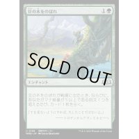 (FOIL)豆の木をのぼれ/Up the Beanstalk《日本語》【WOE】