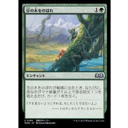 画像1: [EX]豆の木をのぼれ/Up the Beanstalk《日本語》【WOE】
