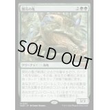 (FOIL)開花の亀/Blossoming Tortoise《日本語》【WOE】