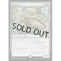 (FOIL)開花の亀/Blossoming Tortoise《日本語》【WOE】