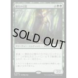 [EX+]開花の幻霊/Eidolon of Blossoms《日本語》【WOC】