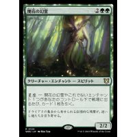 開花の幻霊/Eidolon of Blossoms《日本語》【WOC】