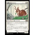 [EX]威厳あるバニコーン/Regal Bunnicorn《日本語》【WOE】