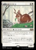 (FOIL)威厳あるバニコーン/Regal Bunnicorn《日本語》【WOE】