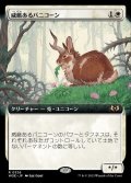 (フルアート)威厳あるバニコーン/Regal Bunnicorn《日本語》【WOE】