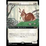 [EX+](フルアート)威厳あるバニコーン/Regal Bunnicorn《日本語》【WOE】