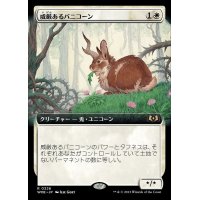 (フルアート)威厳あるバニコーン/Regal Bunnicorn《日本語》【WOE】