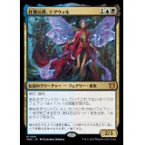 (FOIL)壮麗公爵、テグウィル/Tegwyll, Duke of Splendor《日本語》【WOC】