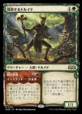 (FOIL)(ショーケース枠)探索するドルイド/Questing Druid《日本語》【WOE】